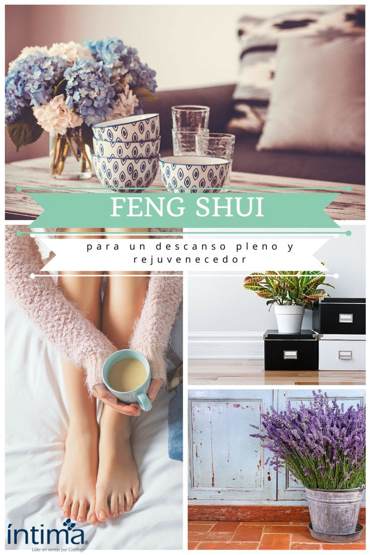 Tips Feng Shui